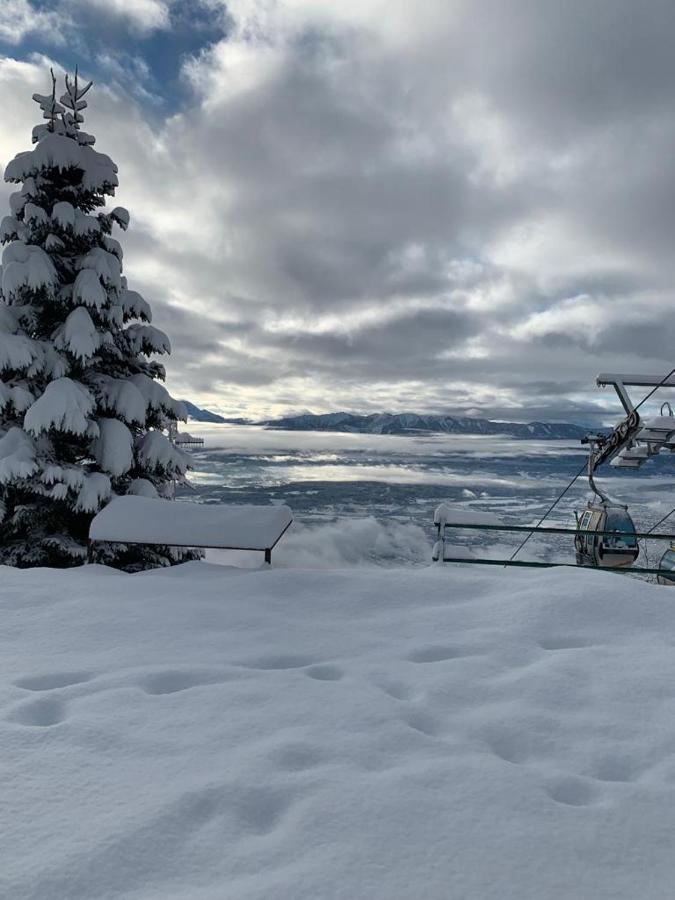 Hundefreundliche Bergwohnung Neben Der Skipiste - Mittelstation Skigebiet Gerlitzen Kanzelhohe Eksteriør billede