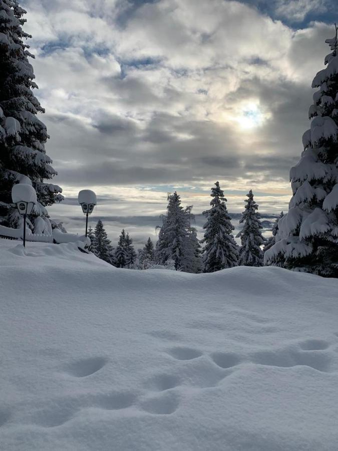 Hundefreundliche Bergwohnung Neben Der Skipiste - Mittelstation Skigebiet Gerlitzen Kanzelhohe Eksteriør billede