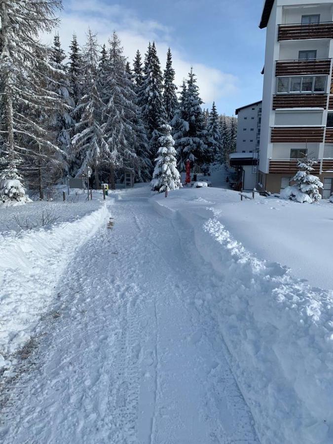 Hundefreundliche Bergwohnung Neben Der Skipiste - Mittelstation Skigebiet Gerlitzen Kanzelhohe Eksteriør billede