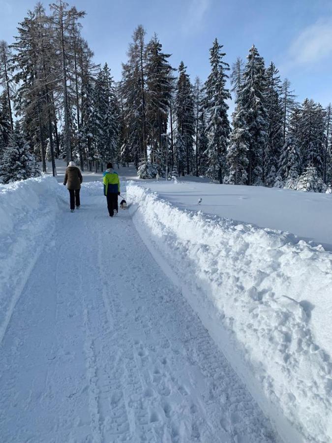 Hundefreundliche Bergwohnung Neben Der Skipiste - Mittelstation Skigebiet Gerlitzen Kanzelhohe Eksteriør billede