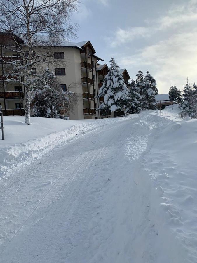 Hundefreundliche Bergwohnung Neben Der Skipiste - Mittelstation Skigebiet Gerlitzen Kanzelhohe Eksteriør billede