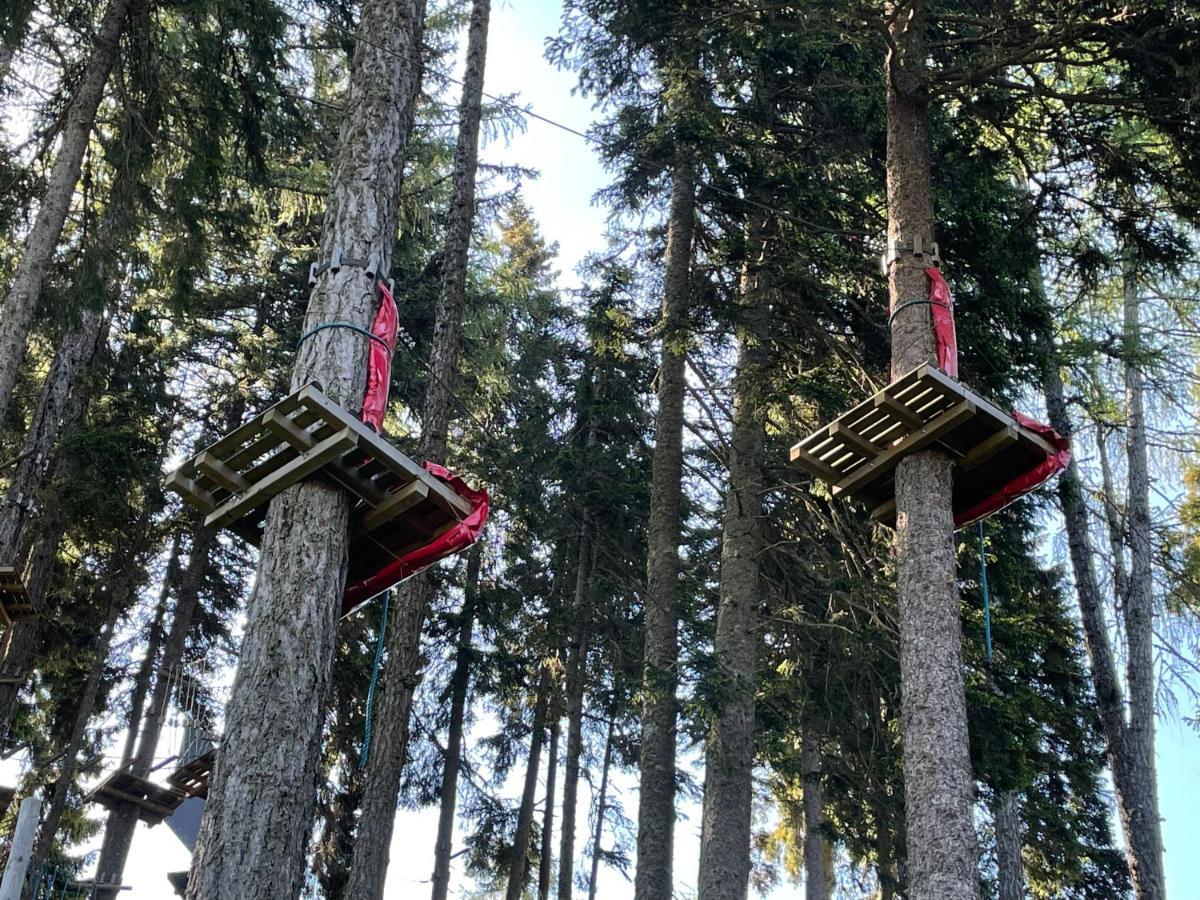 Hundefreundliche Bergwohnung Neben Der Skipiste - Mittelstation Skigebiet Gerlitzen Kanzelhohe Eksteriør billede
