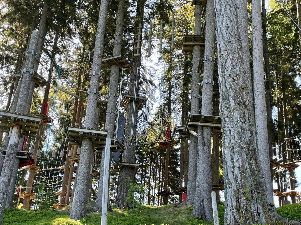 Hundefreundliche Bergwohnung Neben Der Skipiste - Mittelstation Skigebiet Gerlitzen Kanzelhohe Eksteriør billede